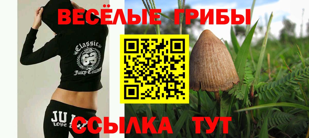 Псилоцибиновые грибы Psilocybine cubensis Вологда